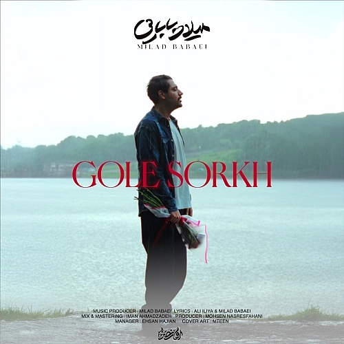Gole Sorkh Milad Babaei